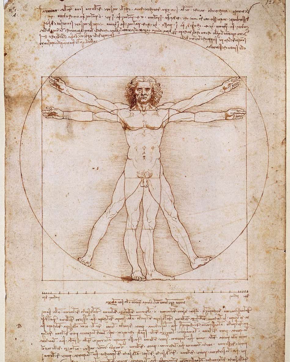 Vitruviánský člověk Leonarda da Vinciho